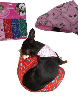 Collare con bandata cane cani taglia piccola