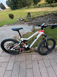 Ebike Rossignol taglia M