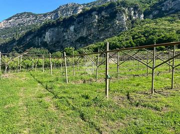 TERRENO A NAGO-TORBOLE