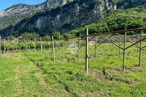 TERRENO A NAGO-TORBOLE