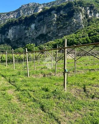 TERRENO A NAGO-TORBOLE