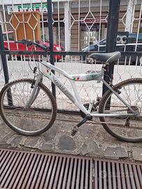 bicicletta uomo ragazzo