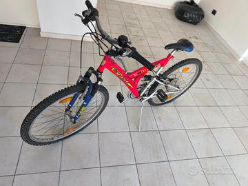 2 biciclette Mountainbike usate da sistemare
