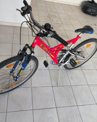 2 biciclette Mountainbike usate da sistemare