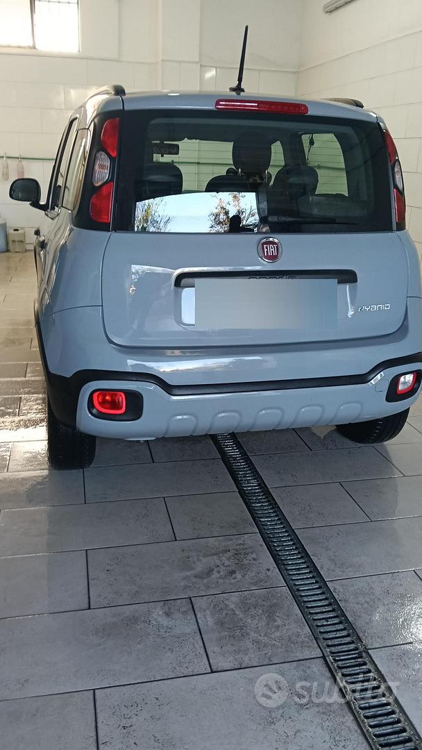 fiat panda - Auto In vendita a Roma