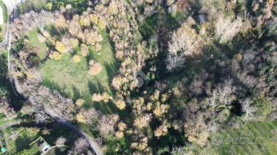 TERRENO A POLLENA TROCCHIA