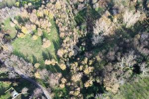 TERRENO A POLLENA TROCCHIA