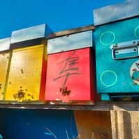 Arniette da 6 in legno