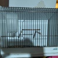 Gabbia mostra tereziani