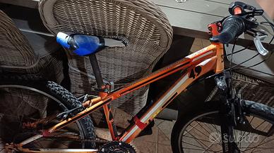 bicicletta ragazzo