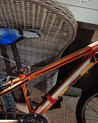 bicicletta ragazzo
