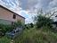 Immagine 7