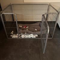 Recinto per animali in metallo