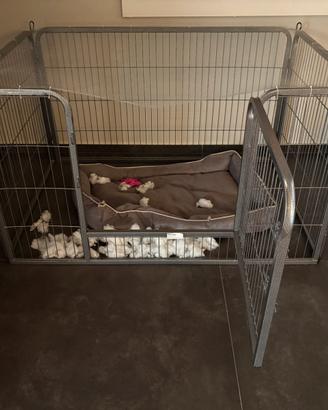 Recinto per animali in metallo