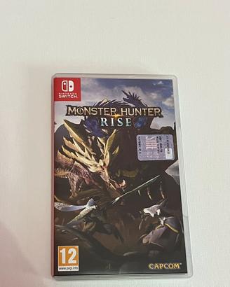 Monster hunter switch