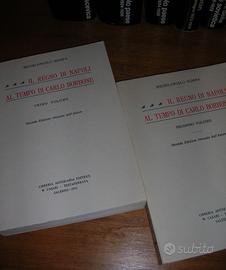 Il regno di napoli al tempo di carlo di borbone