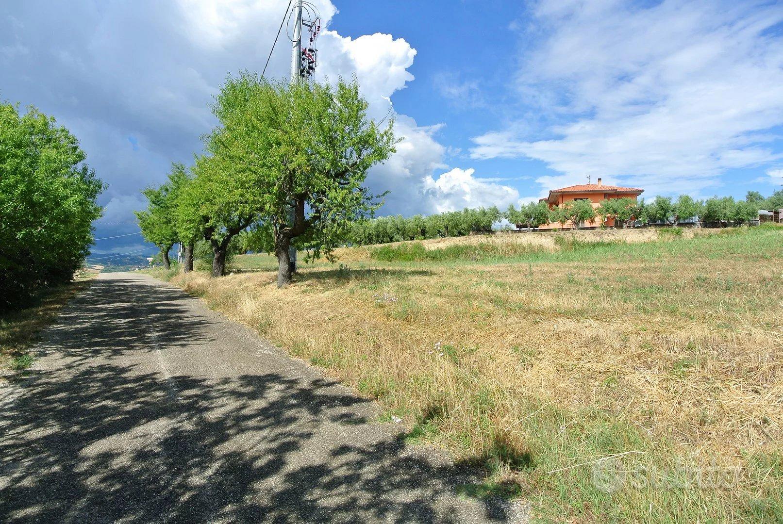 TERRENO AGRICOLO PIANEGGIANTE - Altro