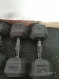 2 manubri hex rubber 10kg