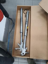 Sospensioni forcelle Ducati Multistrada 1200