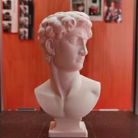 Mezzo busto David – Scultura design stampata in 3D