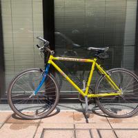 Bici da corsa