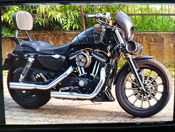 Harley Davidson Iron 883