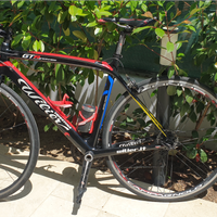Bici da corsa wilier triestina 11V