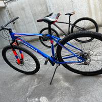 2 mountain bike Esperia e Xeris