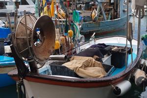 Barca con licenza da pesca professionale 