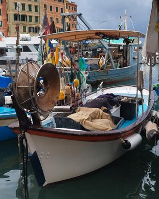 Barca con licenza da pesca professionale 