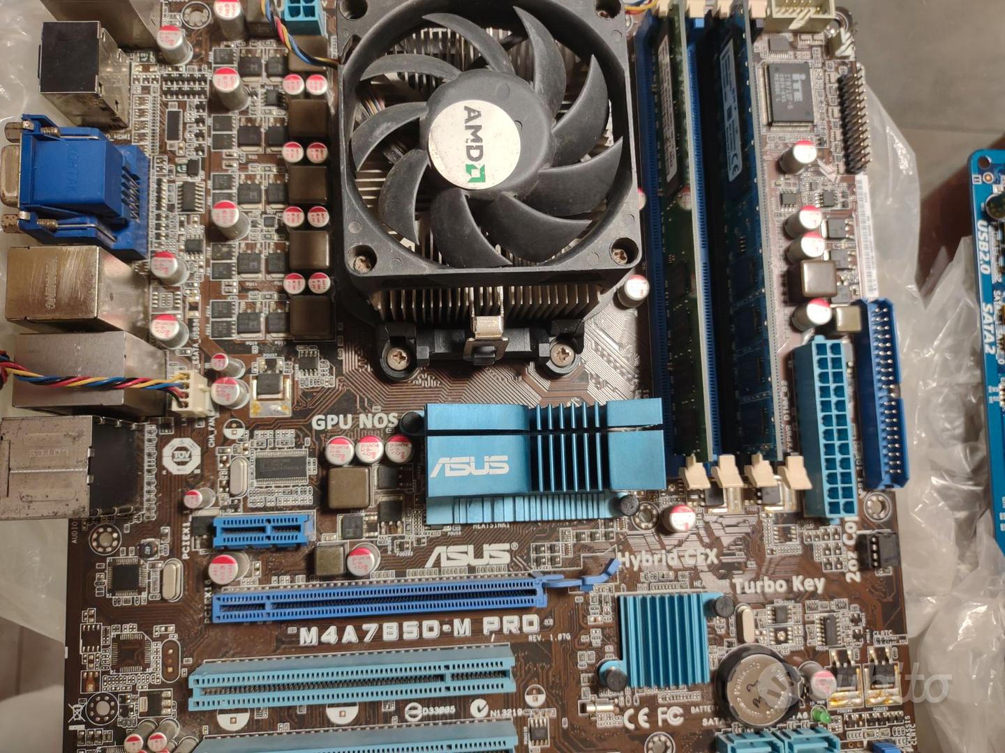 Scheda e CPU AMD socket AM2, retro, vintage - Informatica In vendita a ...