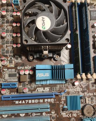 Scheda  e CPU AMD  socket  AM2, retro, vintage