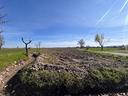 terreno-agricolo-margarita