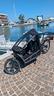 riese-e-muller-load-75-vario