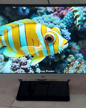 Monitor 23 pollici HP full-hd HDMI VGA perfetto.