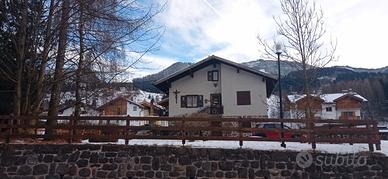 Periodo Olimpiadi Invernali a Cavalese - Masi