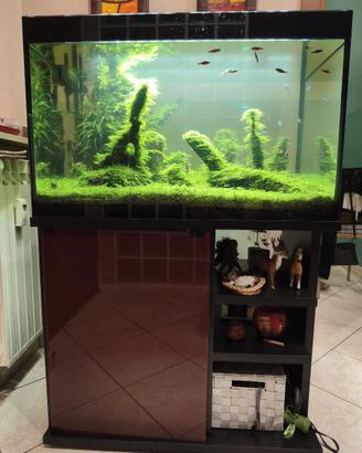 ACQUARIO 180 litri