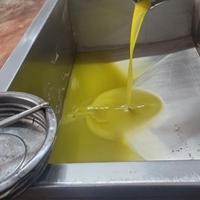 Ve do olio di oliva 2025