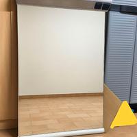 specchiera bagno con luce neon funzionante