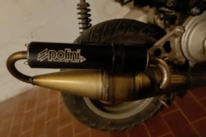 marmitta scooter team 4 Polini 