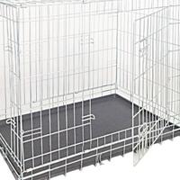 kennel e cuccia