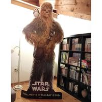 Cartonato Chewbacca - Star Wars, 225 cm