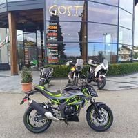 Kawasaki Z 125 Pearl Storm Grey / Ebony
