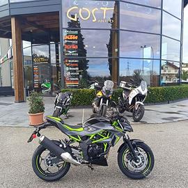 Kawasaki Z 125 Pearl Storm Grey / Ebony