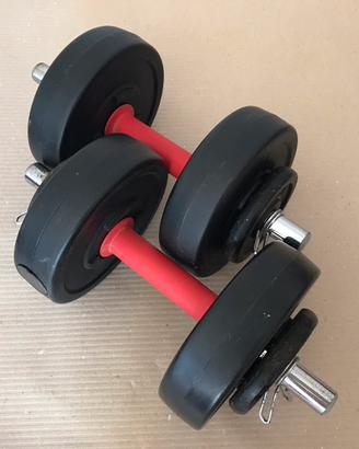 Manubri pesi palestra 16kg