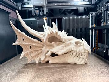 Teschio Dragone Drago