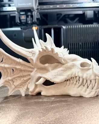 Teschio Dragone Drago