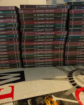 2 collezioni dvd complete