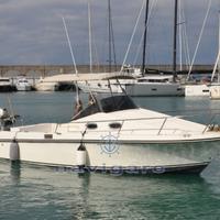 Royal Yacht Group Harpoon 255 Walkaround (2002)