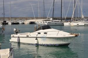 Royal Yacht Group Harpoon 255 Walkaround (2002)